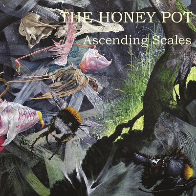 ascending Scales - the honey pot
